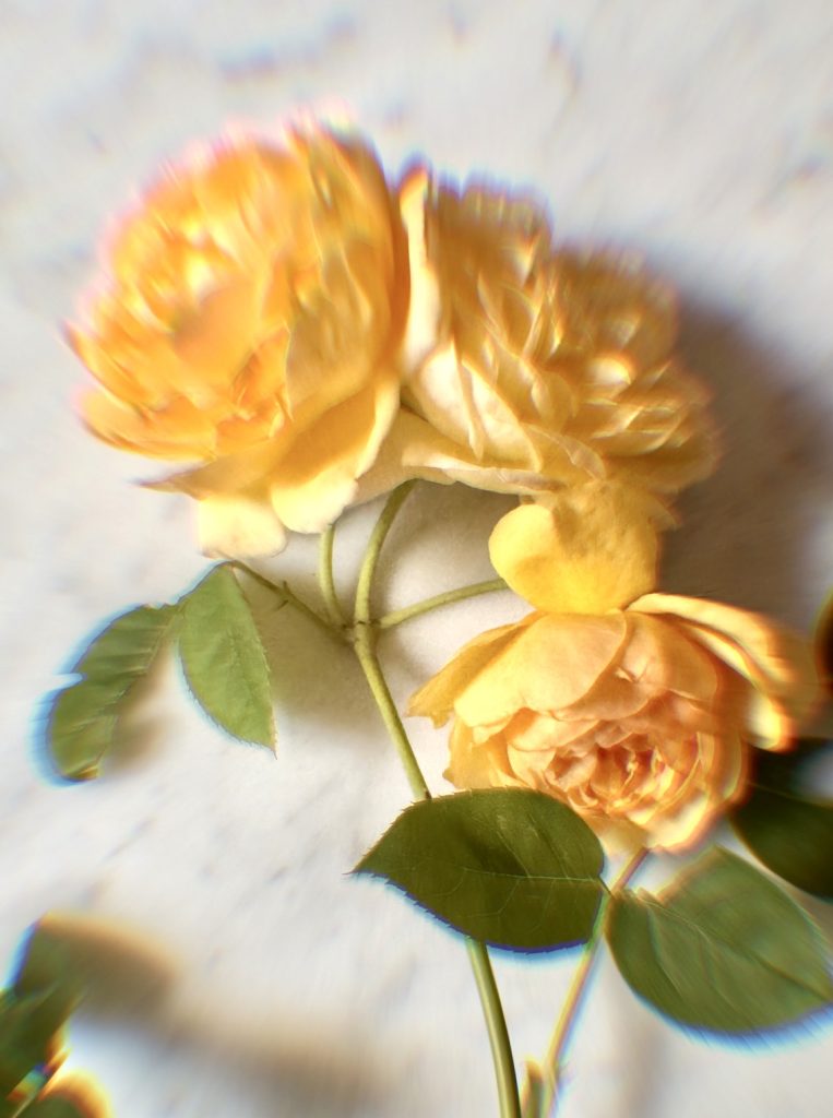 glowing anti aging natural skincare